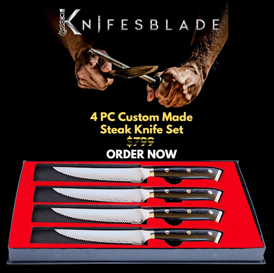 4 Piece Steak Knife Set